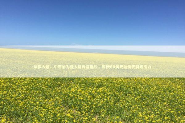 摩根大通：中石油为亚太能源首选股，即便60美元油价仍具吸引力