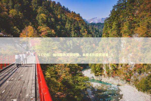 ST宁科：维权股民又获赔偿，未报名的股民速看_5 新闻