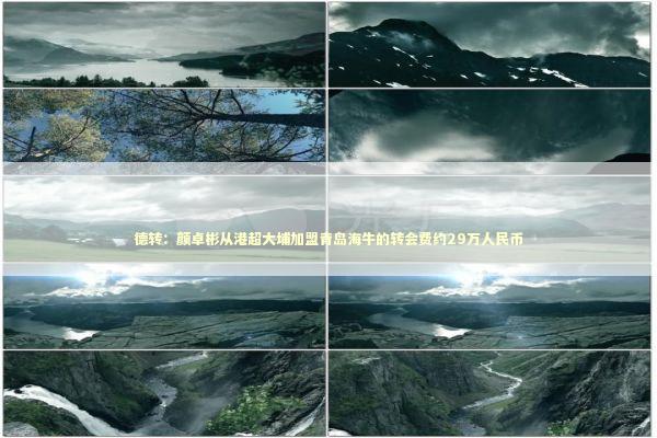 德转：颜卓彬从港超大埔加盟青岛海牛的转会费约29万人民币 新闻