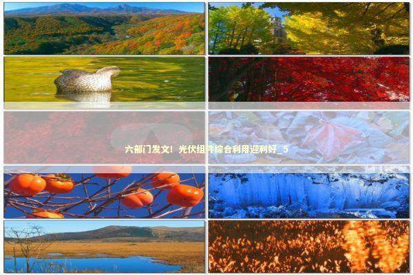 六部门发文！光伏组件综合利用迎利好_5 新闻