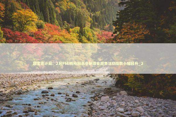 国家统计局：2月PMI有所回落非制造业商务活动指数小幅回升_2