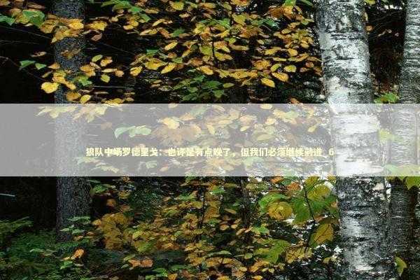 狼队中场罗德里戈：也许是有点晚了，但我们必须继续前进_6 新闻