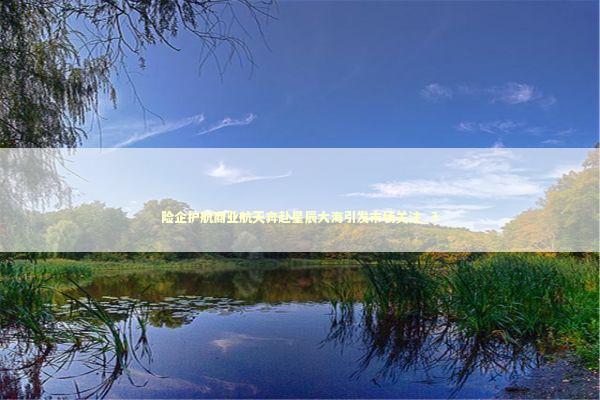 险企护航商业航天奔赴星辰大海引发市场关注_3 新闻