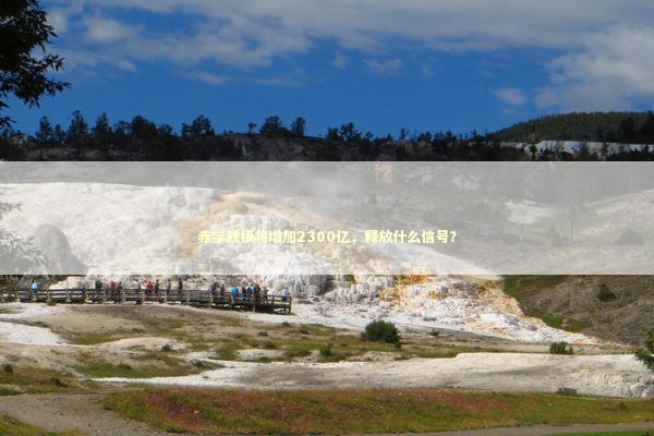 赤字规模将增加2300亿，释放什么信号？ 新闻