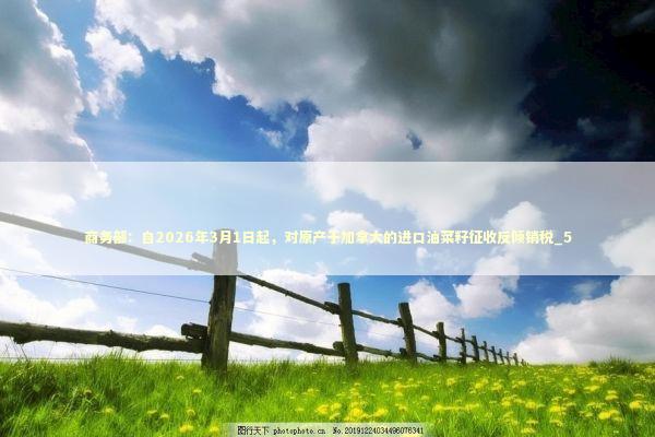 商务部：自2026年3月1日起，对原产于加拿大的进口油菜籽征收反倾销税_5 新闻