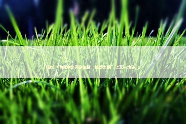 花旗：伊朗冲突只是美股“忧虑之墙”上又一块砖_1 新闻