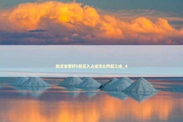 融资客看好6股买入占成交比例超三成_4 新闻