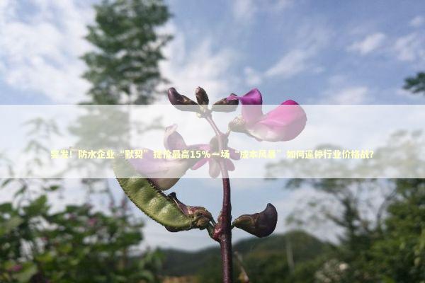 突发！防水企业“默契”提价最高15%一场“成本风暴”如何逼停行业价格战？ 新闻