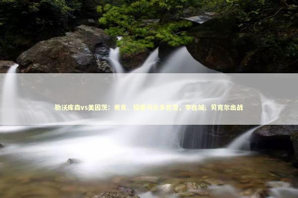 勒沃库森vs美因茨：希克、格里马尔多首发，李在城、贝克尔出战 新闻