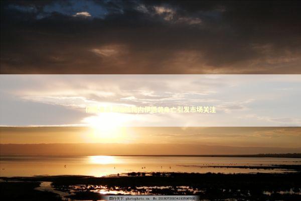 伊朗最高领袖哈梅内伊遇袭身亡引发市场关注