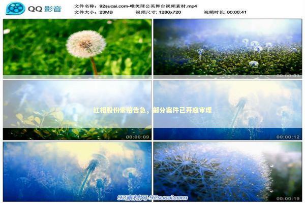 红相股份索赔告急，部分案件已开庭审理