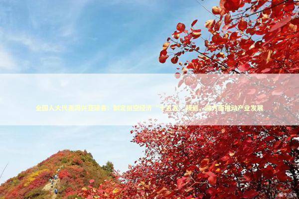 全国人大代表冯兴亚建言：制定低空经济“十五五”规划，四方面推动产业发展 新闻