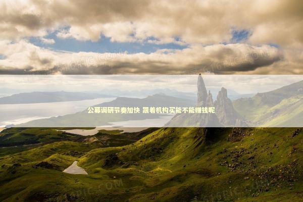 公募调研节奏加快 跟着机构买能不能赚钱呢 新闻