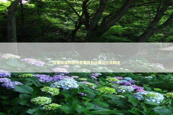 轻量级架构特性显著提升设备运行流畅度 新闻