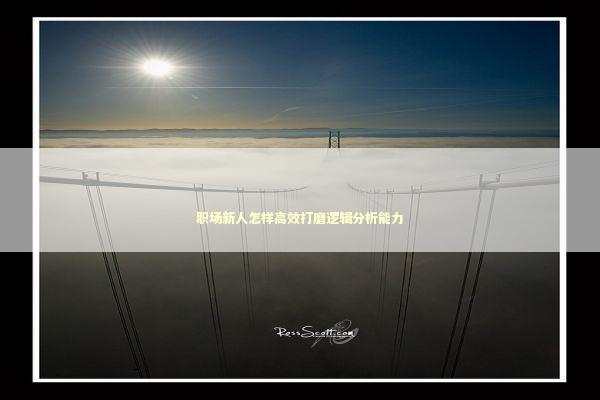 职场新人怎样高效打磨逻辑分析能力 新闻