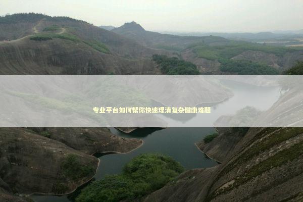 专业平台如何帮你快速理清复杂健康难题