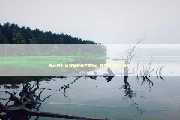 你还在纠结网站登录方式吗？我的实用观点分享 新闻