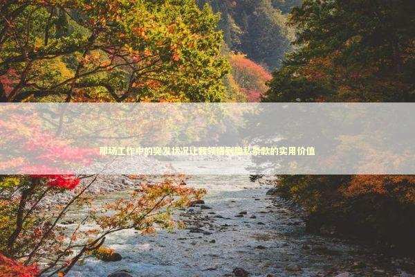 那场工作中的突发状况让我领悟到隐私条款的实用价值