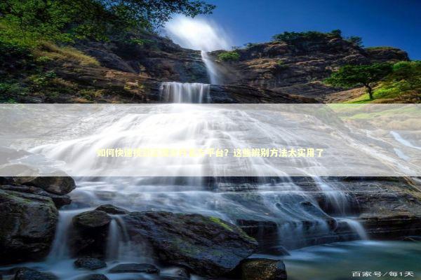 如何快速找到正规软件官方平台？这些辨别方法太实用了 IT技术