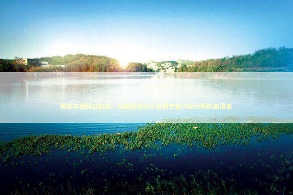 那些年我踩过的坑：从图标设计小白到专业UI设计师的血泪史 IT技术