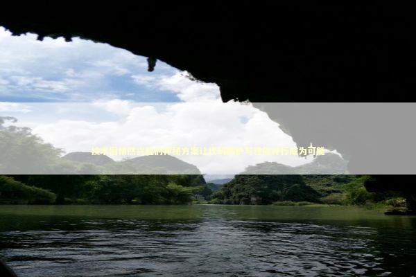 技术圈悄然兴起的神秘方案让代码防护与性能并行成为可能 IT技术