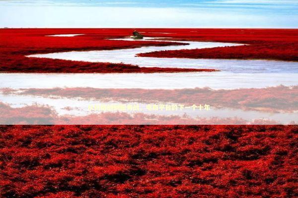 从价格战到服务战，电商平台的下一个十年 新闻