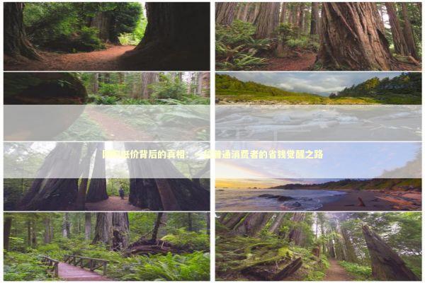 网购低价背后的真相：一位普通消费者的省钱觉醒之路 企业服务