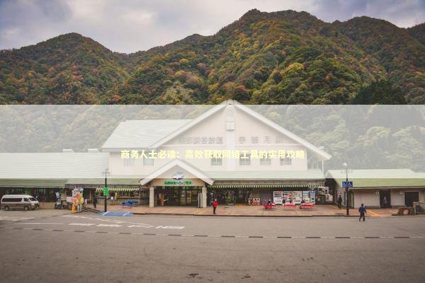 商务人士必读：高效获取网络工具的实用攻略 企业服务