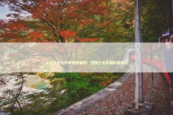 企业安全与效率如何兼得:透视行业发展的新拐点 企业安全与效率如何兼得:透视行业发展的新拐点 IT技术